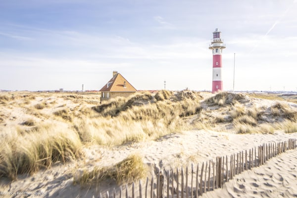 Foto van Appartement in Nieuwpoort bij Strand - Vakantiehuis in Nieuwpoort - AreaSummer5KM