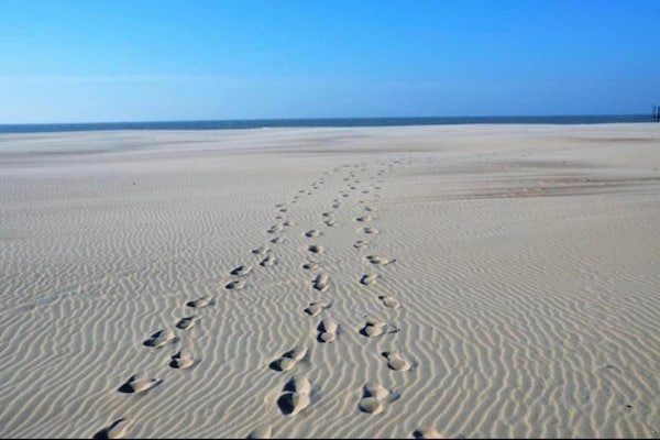 Foto van Appartement in Nieuwpoort bij Strand - Vakantiehuis in Nieuwpoort - AreaSummer20KM