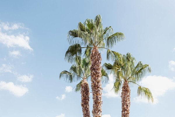 Foto van Kustappartement van Mazarrón voor 3 - Vakantiehuis in Puerto de Mazarrón - Ambiance
