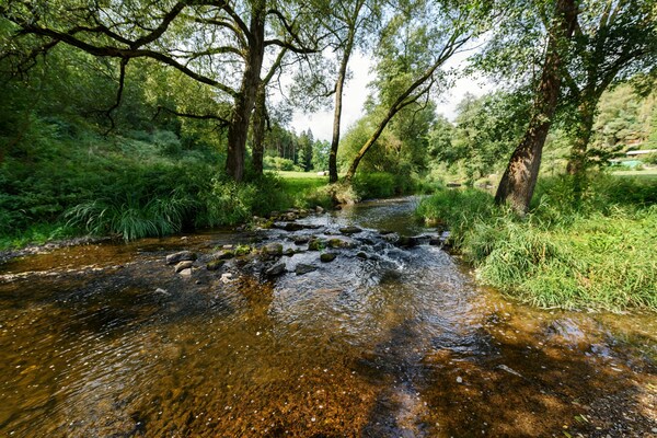 Foto van Villa in Varvažov met Tuinparadijs - Vakantiehuis in Varvažov - AreaSummer5KM