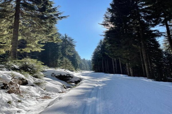 Foto van Familiechalet in het Reuzengebergte - Vakantiehuis in Jilemnice- Benecko - AreaWinter20KM