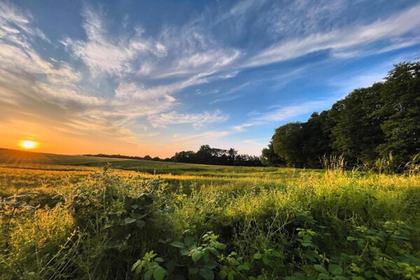Foto van Vakantiehuis met tuin in Graal-Müritz - Vakantiehuis in Graal-Müritz - AreaSummer20KM