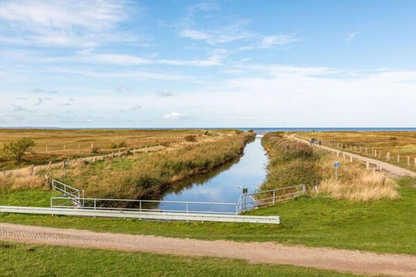 Foto van Vakantiehuis met tuin in Zweedorf - Vakantiehuis in Zweedorf - AreaSummer20KM