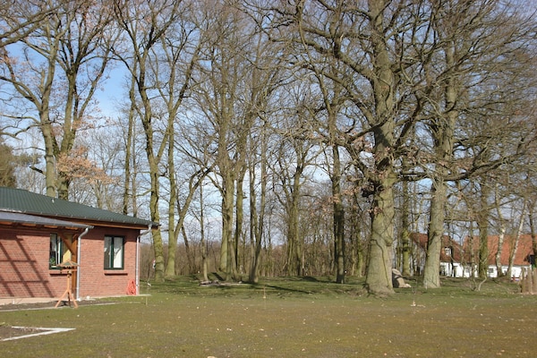 Foto van Appartement in Zarnewanz nabij de Oostzee - Vakantiehuis in Zarnewanz - AreaSummer1KM