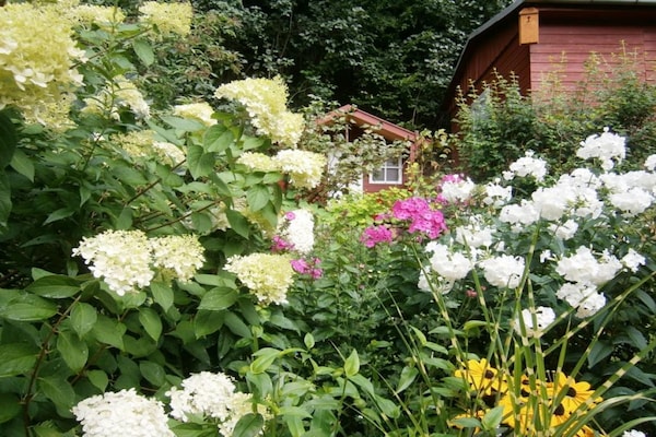 Foto van 1 Lößnitzgrund - Vakantiehuis in Radebeul - Untagged