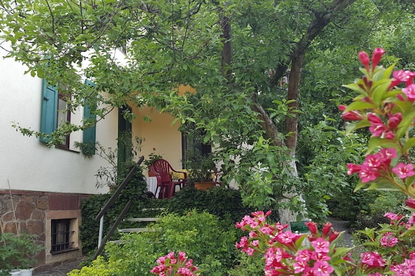 Foto van 1 Lößnitzgrund - Vakantiehuis in Radebeul - Untagged