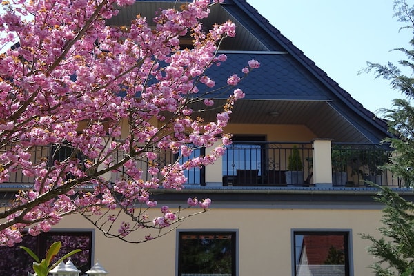 Foto van (1e verdieping) - Zum Adler Horst - in Federow - Vakantiehuis in Federow - Untagged