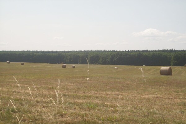 Foto van (1e verdieping) - Zum Adler Horst - in Federow - Vakantiehuis in Federow - Untagged