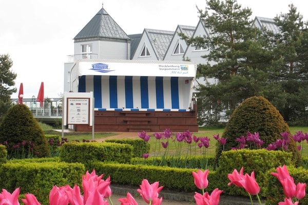 Foto van 12 Beach Oasis Heringsdorf - Vakantiehuis in Heringsdorf - Untagged