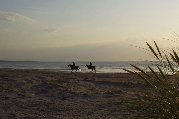 Foto van Trube 2 Comfortabele vakantiewoning - Vakantiehuis in Seebad Bansin - Untagged