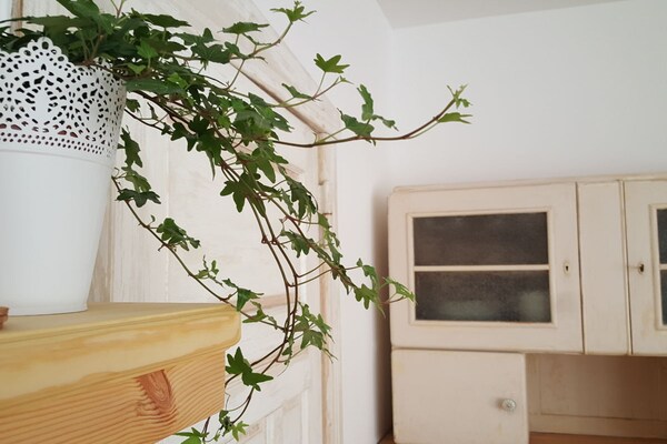 Foto van Vakantiehuis in  - Vakantiehuis in  - Untagged