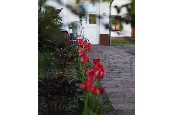 Foto van Vakantiehuis in  - Vakantiehuis in  - Untagged