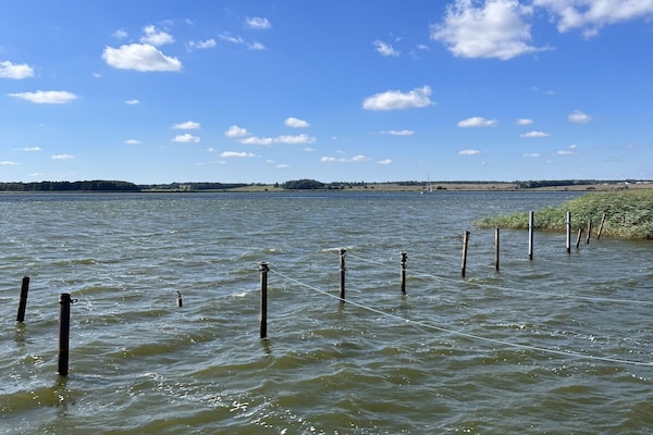 Foto van 2 in het huis aan het water - Vakantiehuis in Ziemitz - Untagged