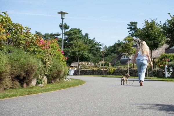 Foto van Vakantiehuis in  - Vakantiehuis in  - Untagged