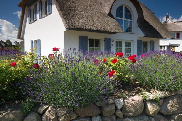 Foto van Vakantiehuis in  - Vakantiehuis in  - Untagged