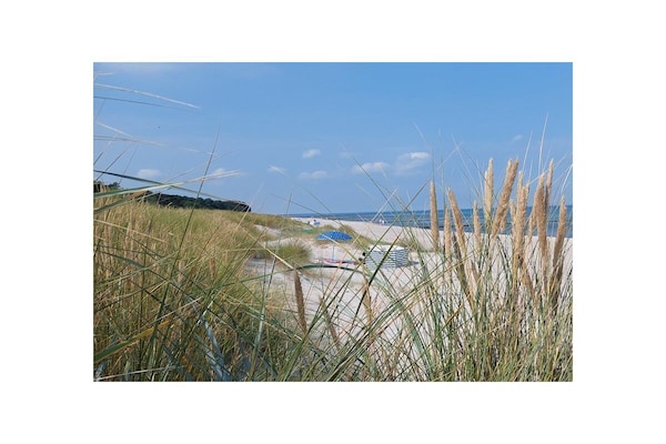 Foto van 1-21 Residentie aan het strand - Vakantiehuis in Seeheilbad Zingst - Untagged
