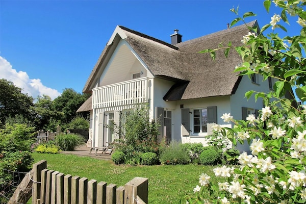 Foto van Reed House Darss || Geboren in Darß - Vakantiehuis in Born a. Darß - Untagged