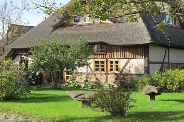 Foto van Reed House Darss || Geboren in Darß - Vakantiehuis in Born a. Darß - Untagged