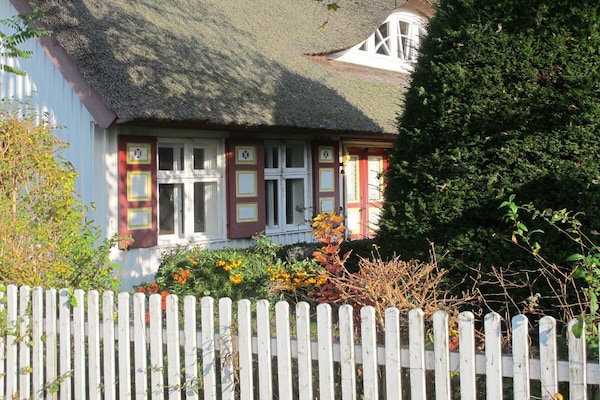 Foto van Reed House Darss || Geboren in Darß - Vakantiehuis in Born a. Darß - Untagged