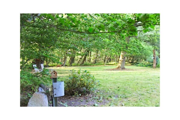 Foto van Comfortabel vakantieverblijf - Vakantiehuis in Wiek - GardenSummer