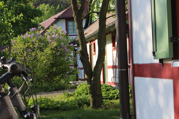 Foto van Vakantiehuis in  - Vakantiehuis in  - Untagged