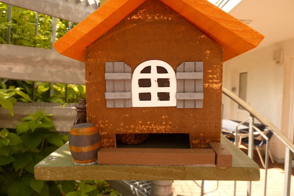 Foto van 1 Huis van Vreugde - Vakantiehuis in Ostseebad Binz - Untagged