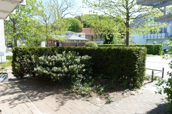 Foto van 1 Huis van Vreugde - Vakantiehuis in Ostseebad Binz - Untagged