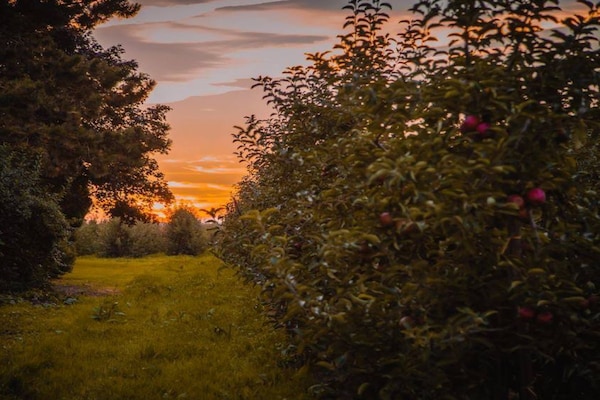 Foto van 1 Hein Garrn Fruit Farm - Vakantiehuis in mittelnkirchen - Untagged