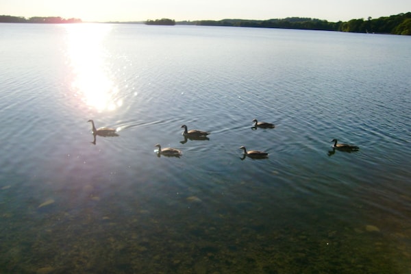 Foto van 1 in het Sielbeck-huis aan de Kellersee - Vakantiehuis in Eutin-Sielbeck - Untagged