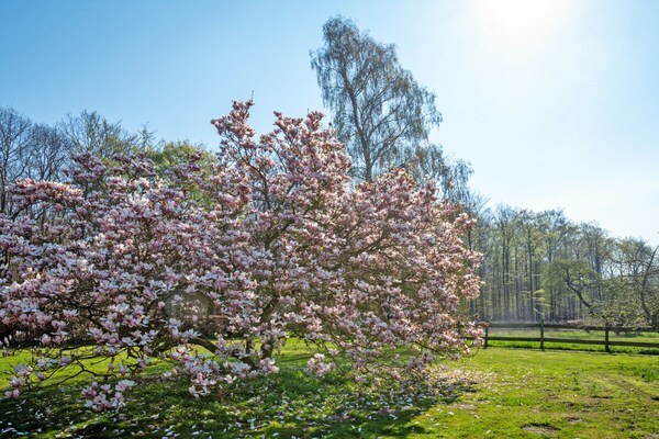 Foto van Vakantiehuis in  - Vakantiehuis in  - Untagged