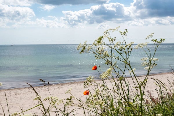 Foto van Vakantiehuis in  - Vakantiehuis in  - Untagged