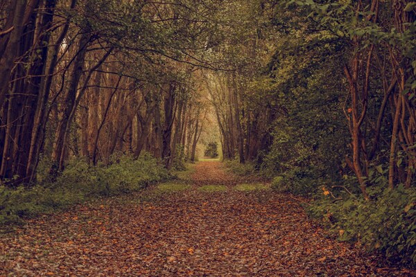 Foto van Vakantieappartement Weitblick in Schlagsdorf - Vakantiehuis in Schlagsdorf - AreaSummer1KM