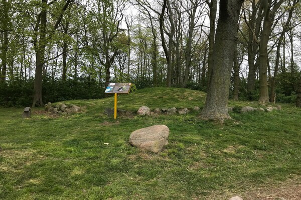 Foto van Vakantieappartement Weitblick in Schlagsdorf - Vakantiehuis in Schlagsdorf - AreaSummer5KM