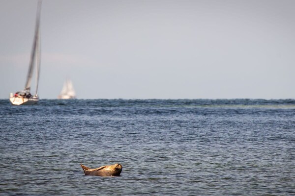 Foto van Vakantiehuis in  - Vakantiehuis in  - Untagged