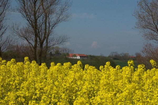 Foto van Vakantiehuis in  - Vakantiehuis in  - Untagged