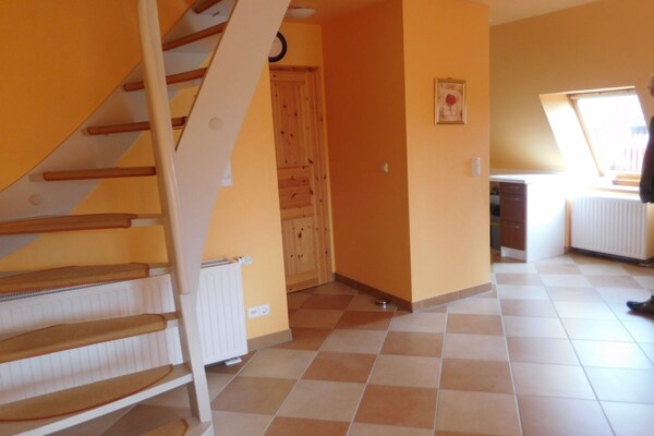 Foto van Regentas voor vakantiehuis - Vakantiehuis in Friedrichskoog - Untagged