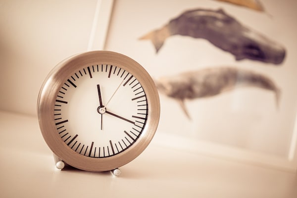 Foto van Vakantieappartement in St. Peter-Ording - Vakantiehuis in St. Peter-Ording - Ambiance