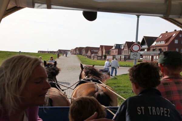 Foto van Vakantiehuis in  - Vakantiehuis in  - Untagged