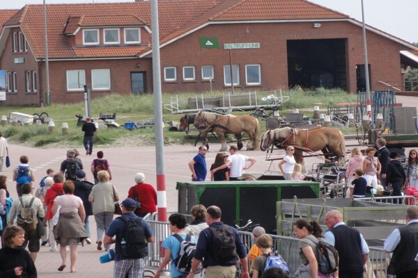 Foto van Vakantiewoning Shalom, Hus Blinkfuer 202 - Vakantiehuis in Baltrum - AreaSummer1KM