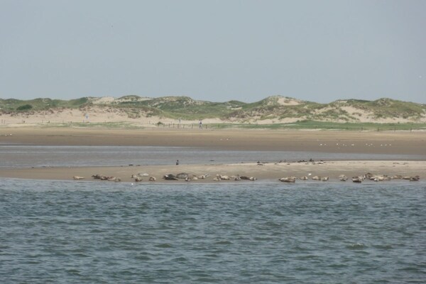 Foto van Vakantiewoning Shalom, Hus Blinkfuer 202 - Vakantiehuis in Baltrum - AreaSummer5KM