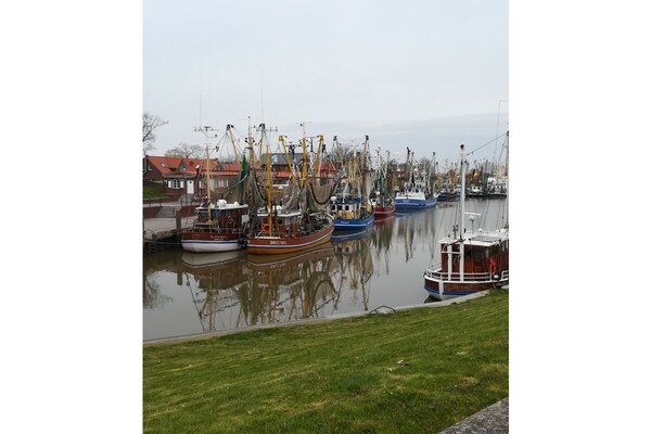 Foto van 2 Huis Froschblick - Vakantiehuis in Greetsiel - Untagged