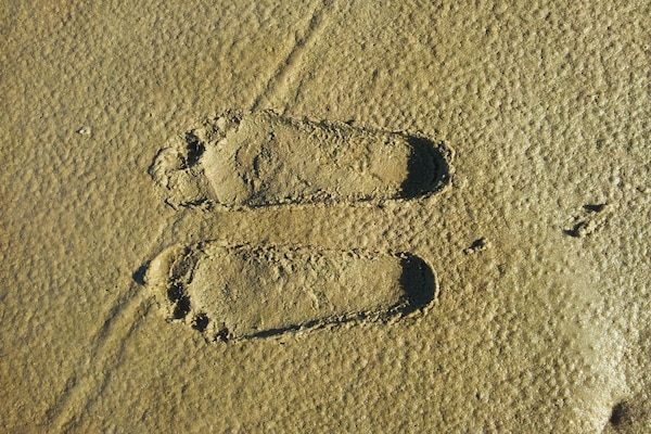 Foto van 1 Borkum Flair - Vakantiehuis in Borkum - Untagged