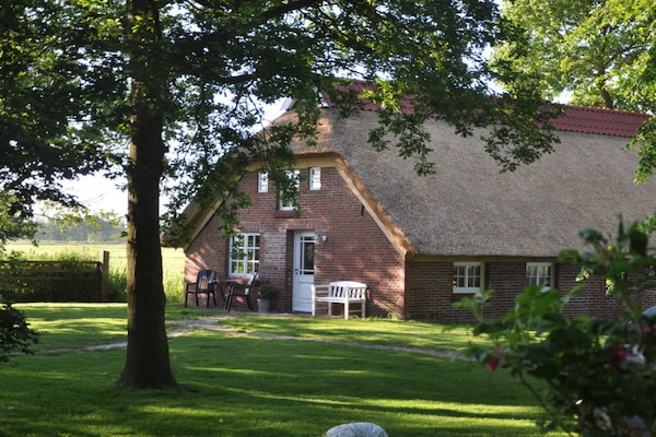 Foto van Thatchdachkate Sillenserwisch - Vakantiehuis in Butjadingen - ExteriorSummer