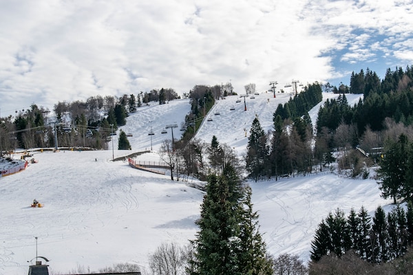 Foto van 2 aparte appartementen met balkon aan de skipiste - Vakantiehuis in Willingen - ExteriorWinter