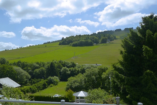 Foto van 2 aparte appartementen met balkon aan de skipiste - Vakantiehuis in Willingen - ViewSummer