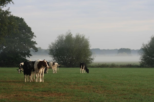 Foto van Teweshof Rees-Empel - Vakantiehuis in Rees - Untagged