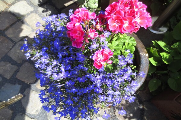 Foto van Vulkaneifel Tuinretraite - Vakantiehuis in Daun - Ambiance