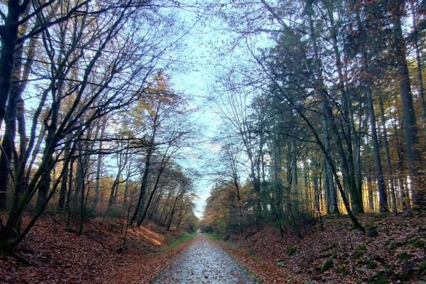 Foto van Immerath Natuurretraite - Vakantiehuis in Immerath - AreaSummer20KM