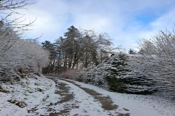 Foto van Chalet in Reinskopf met Haard & Balkon - Vakantiehuis in Schönecken - AreaSummer5KM