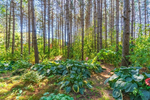 Foto van Wandelroes: Natuur & Charme - Vakantiehuis in Roes - AreaSummer20KM